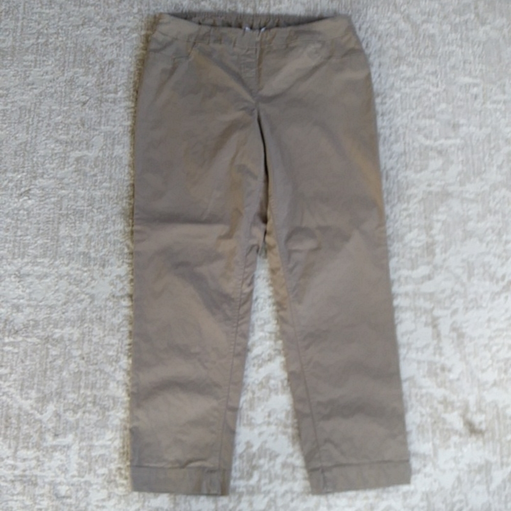 Coldwater Creek Slimming Panel Stretchy Pants 14P Brown Tan